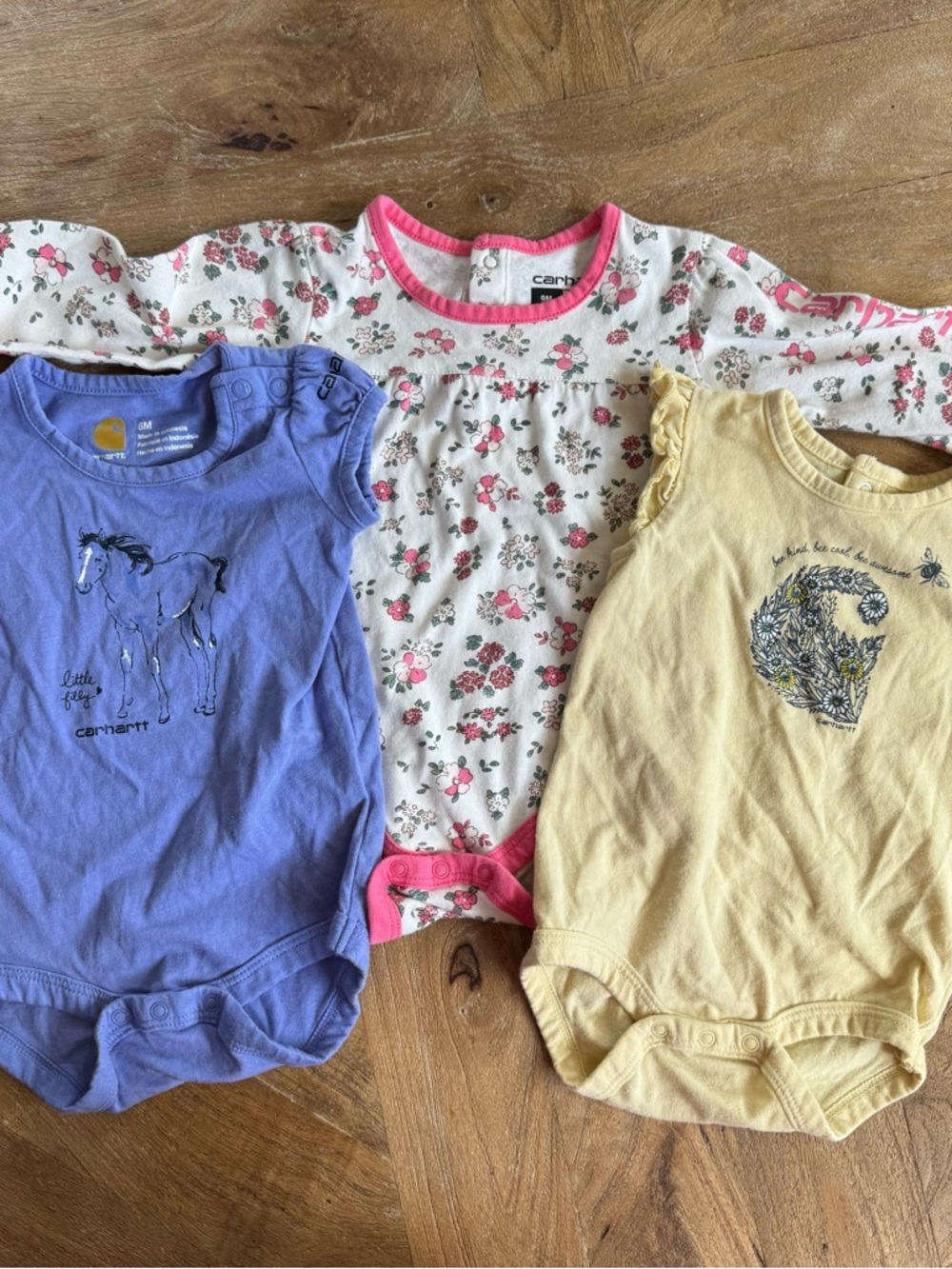 Carhartt Baby Girl Bundle - Florals, Bees & Horses! 6-9M